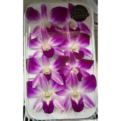 蘭花  Ran Hana ORCHID