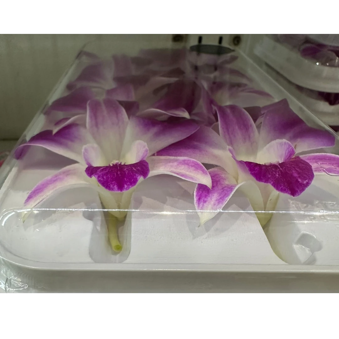 orchid (2).png