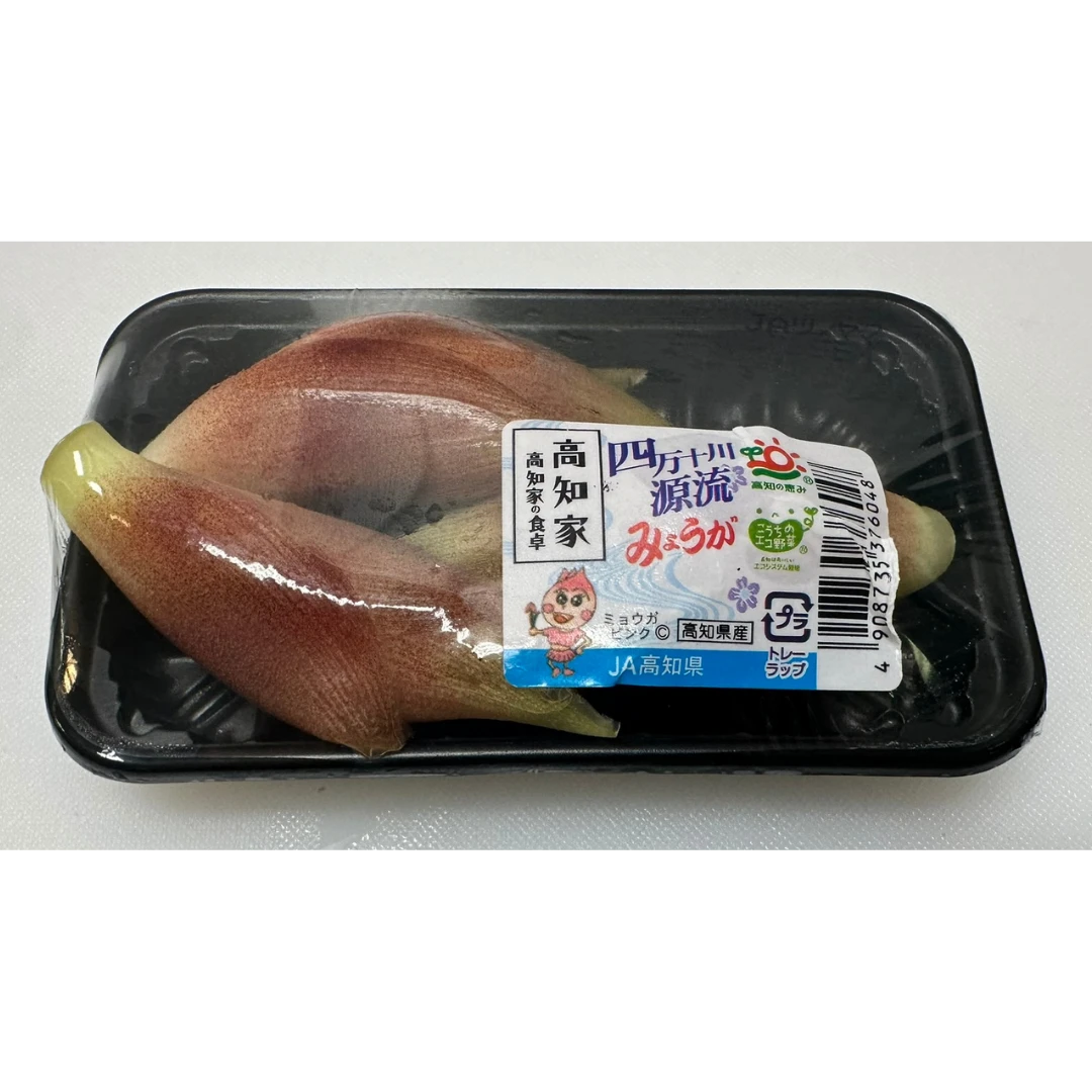 MYOGA - FRESH JAPANESE GINGER - Zingiber miogaoga.png