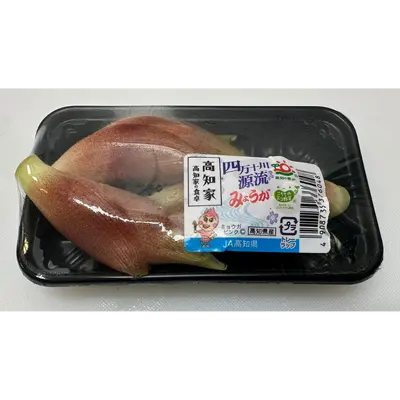 MYOGA - FRESH JAPANESE GINGER - Zingiber miogaoga.png