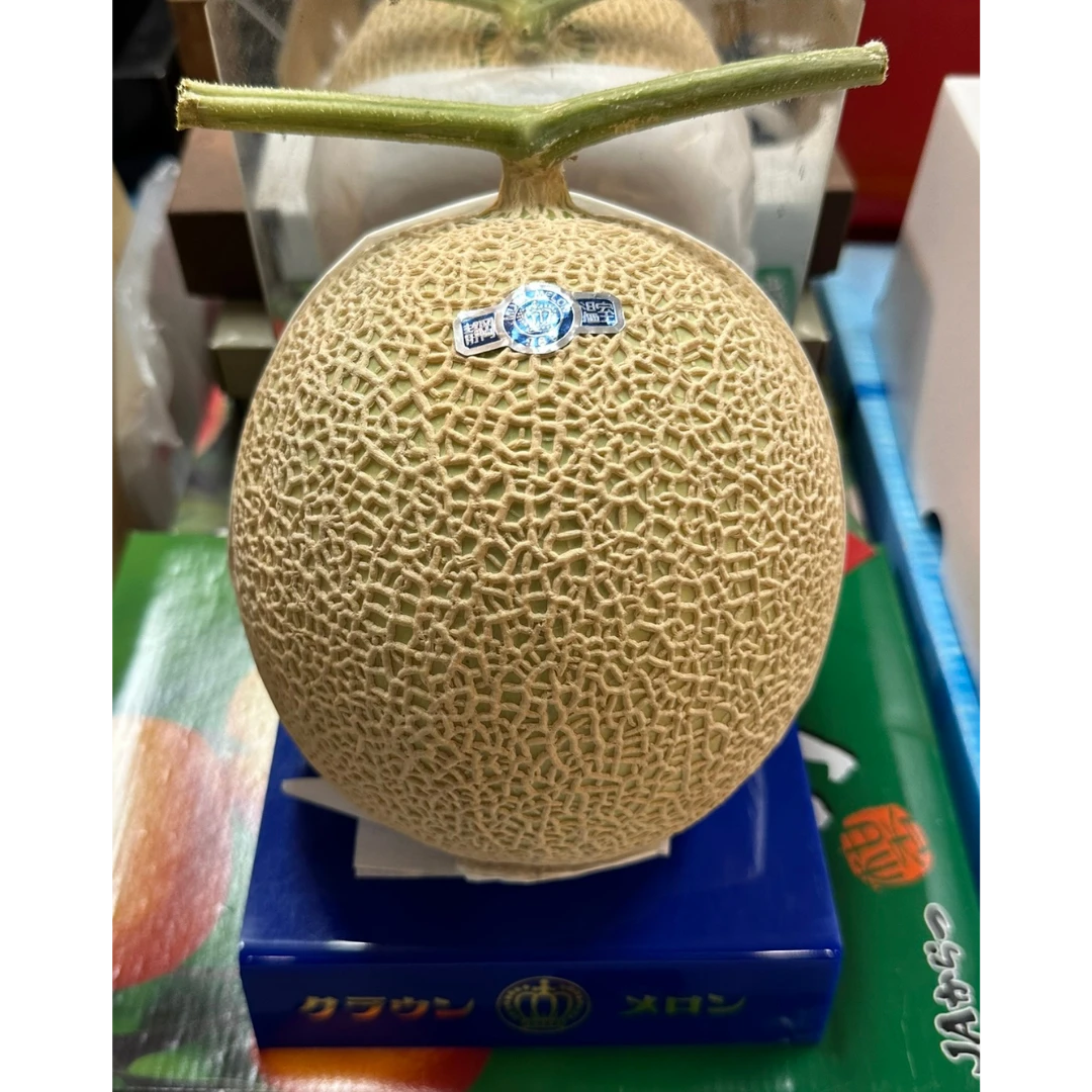 Muskmelon.png