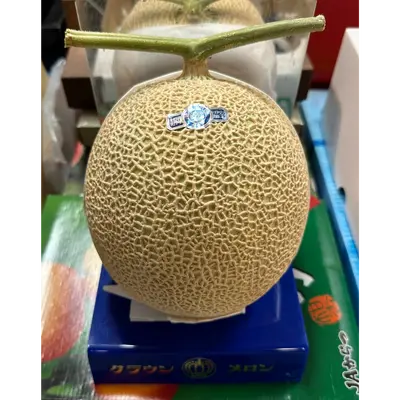 Muskmelon.png