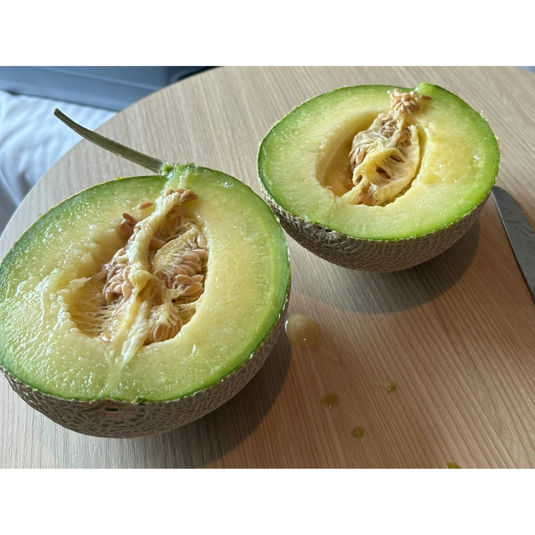 Muskmelon (3).png