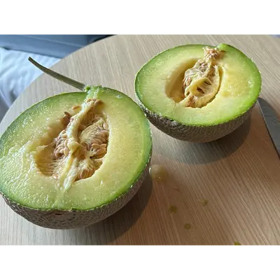 Muskmelon (3).png