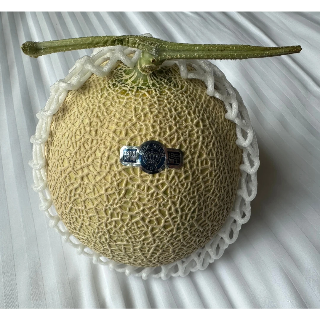 Muskmelon (2).png