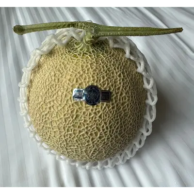 Muskmelon (2).png
