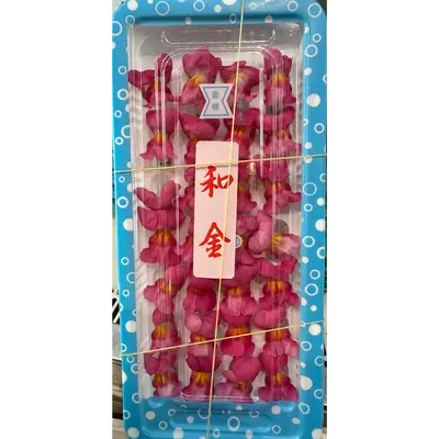 金魚 Goldfish Red FLOWER 25g
