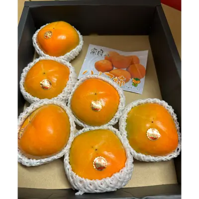 柿 Kaki PERSIMMON