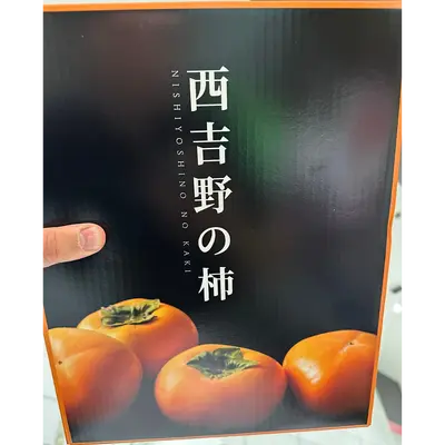 Persimmon KAKI (2).png