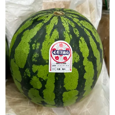 スイカ  Suika JAPANESE WATERMELON -
