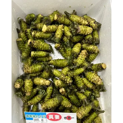 わさび (誠妻) Mazuma Wasabi 80g