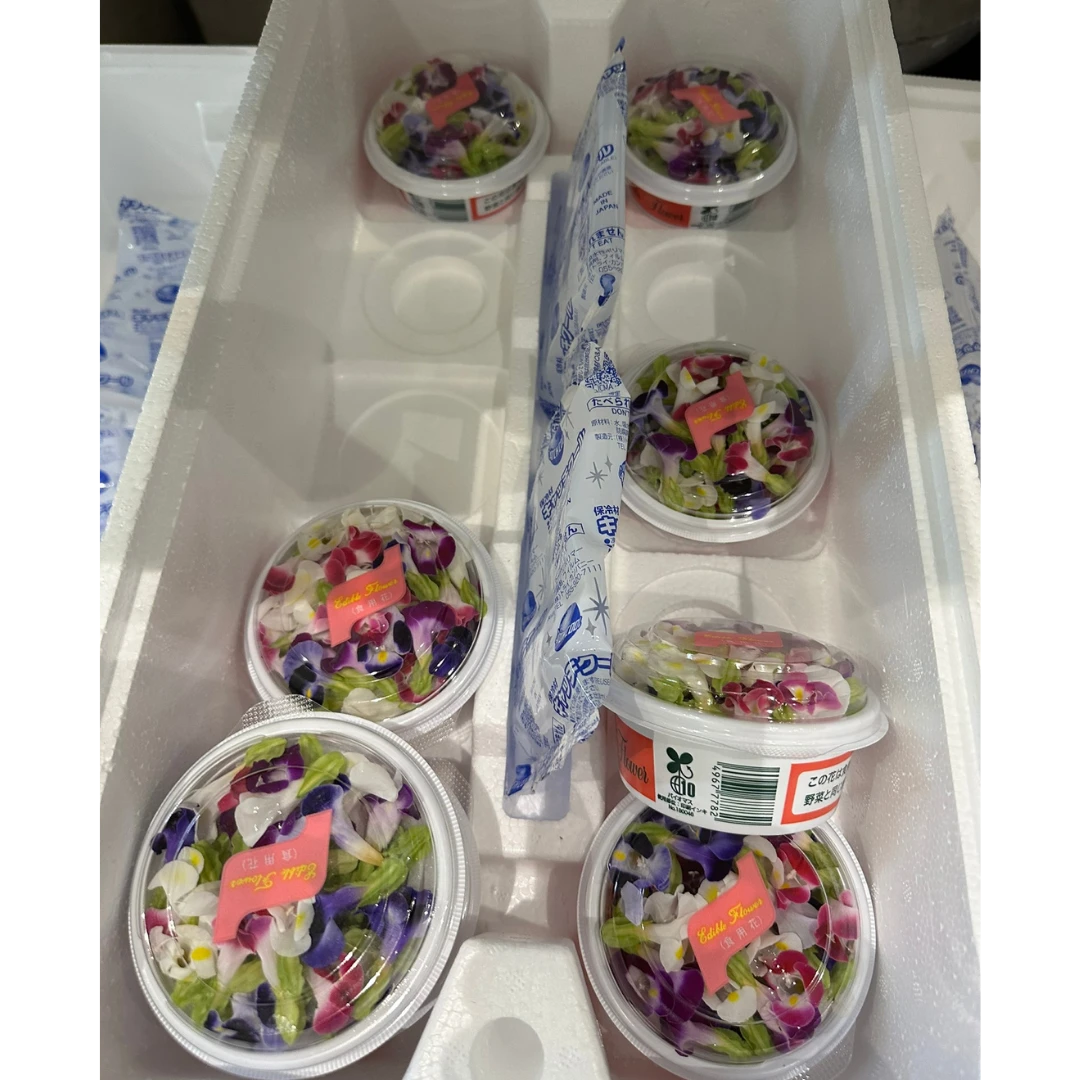 torenia.png