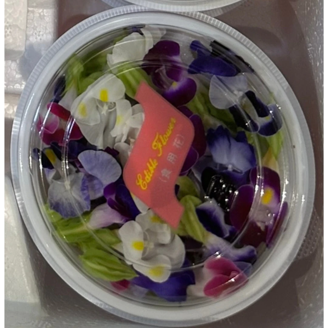 torenia wishbone MIX.png