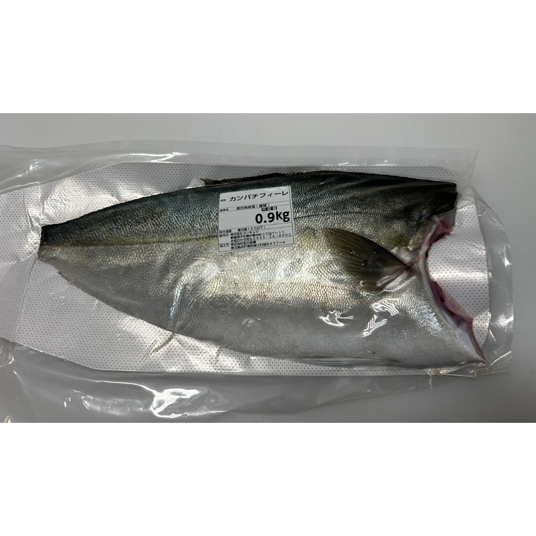 KANPACHI HANMI - FRESH FARMED AMBERJACK FILLET - Seriola dumerili GSK1.png