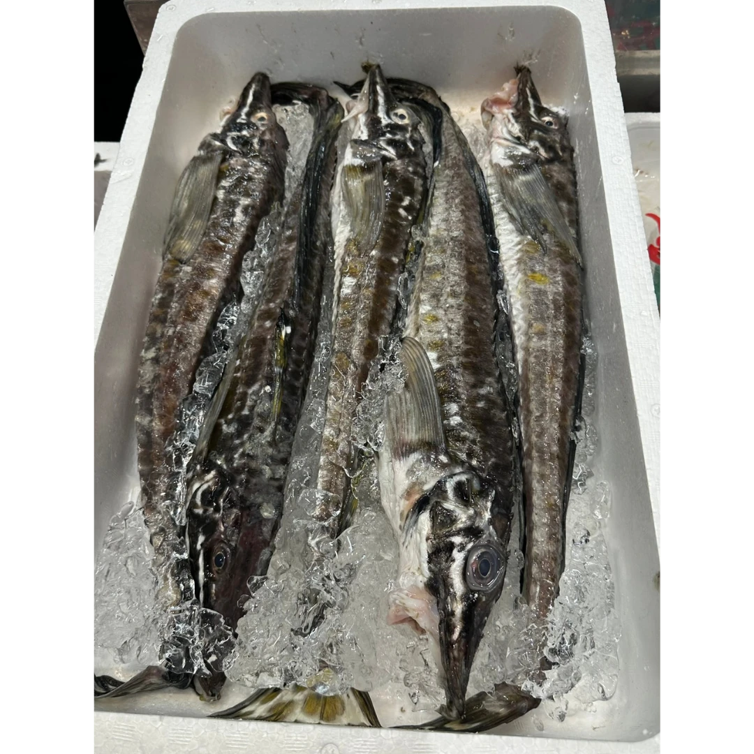 HAKKAKU - FRESH WILD SNAILFIN POACHER - Podothecus sachi.png
