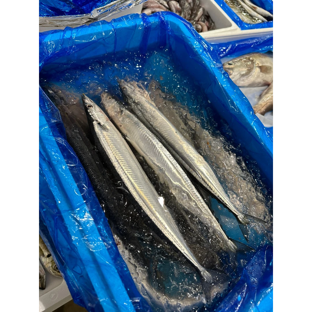 SANMA - FRESH WILD PACIFIC SAURY - Cololabis saira.png
