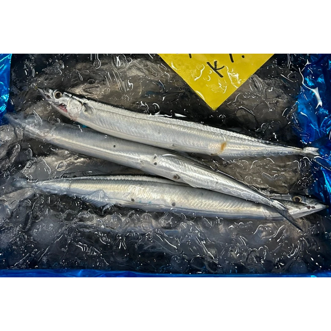 SANMA - FRESH WILD PACIFIC SAURY - Cololabis saira (3).png