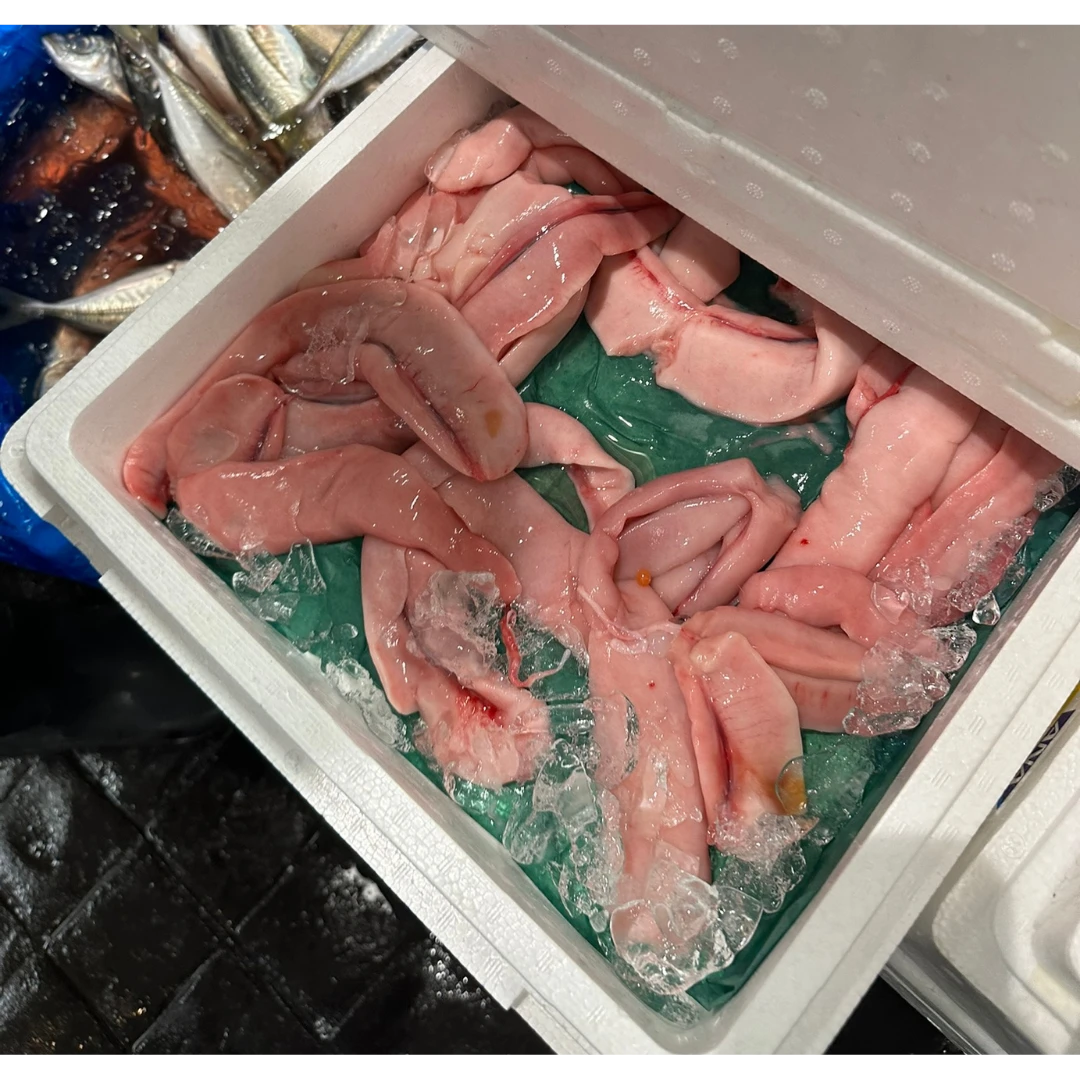 SALMON SHIRAKO.png