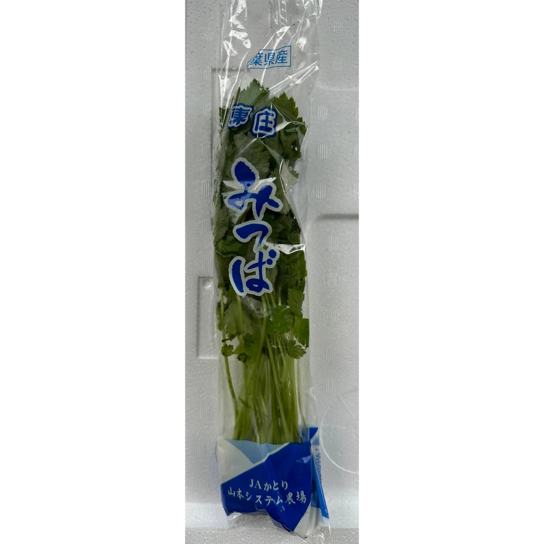 MITSUBA - JAPANESE WILD PARSLEY - Cryptotaenia japonica.png