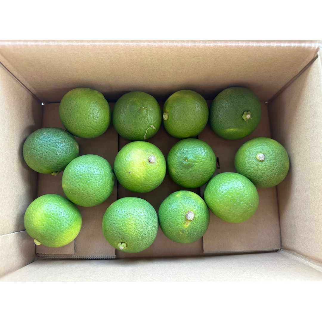 KABOSU - Citrus sphaerocarpa.png