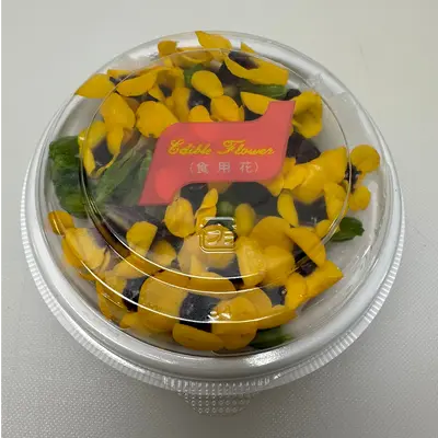 SHOKUYŌ HANA (TORENIA KIIRO) - WISHBONE EDIBLE FLOWER (Yellow) - Torenia.png