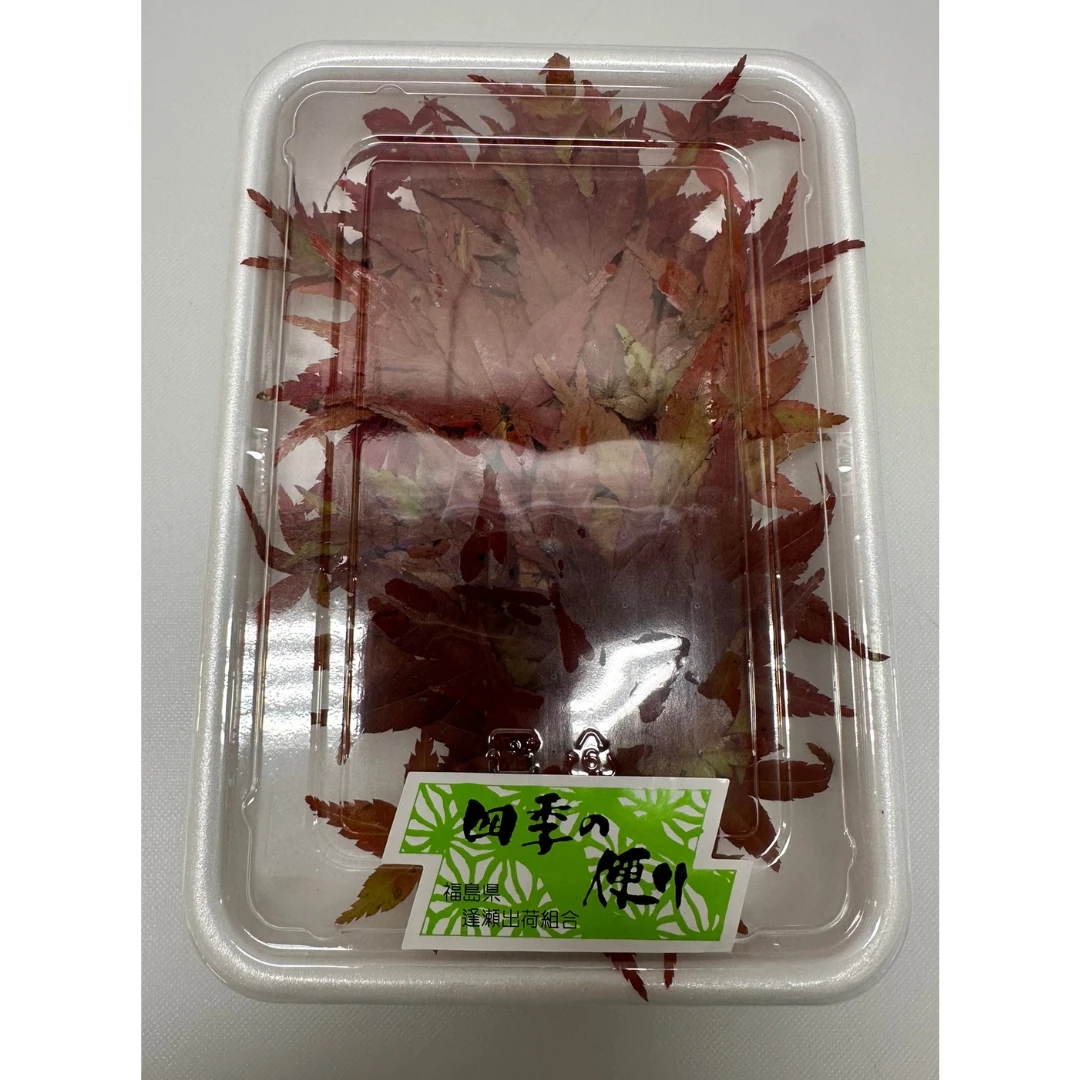 MOMIJI - JAPANESE MAPLE LEAF - Acer palmatum RED.png