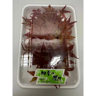 MOMIJI - JAPANESE MAPLE LEAF - Acer palmatum RED.png