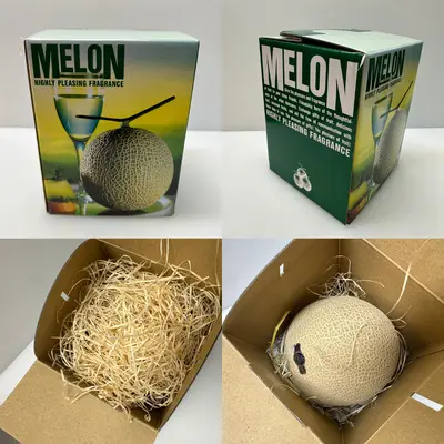 CROWN MELON - FRESH JAPANESE MUSKMELON - Cucumis melo.png