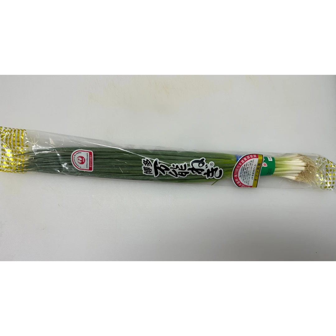 NEGI - JAPANESE GREEN ONION - Allium fistulosum.png