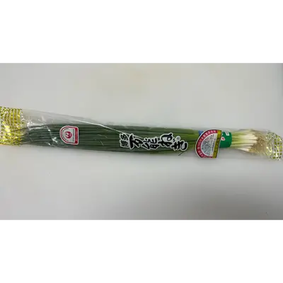 NEGI - JAPANESE GREEN ONION - Allium fistulosum.png