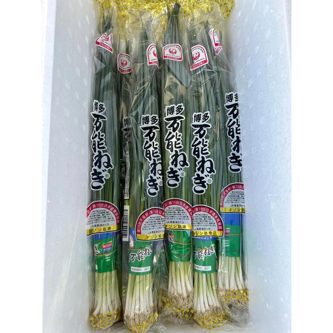 NEGI - JAPANESE GREEN ONION - Allium fistulosum (2).png