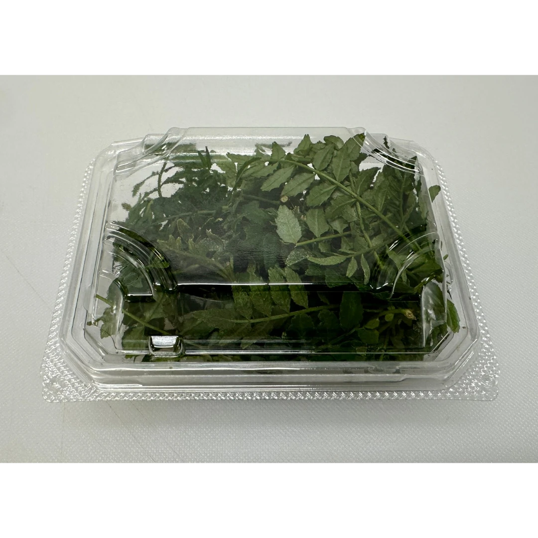 KINOME - FRESH JAPANESE PEPPER LEAFS - Zanthoxylum piperitum.png