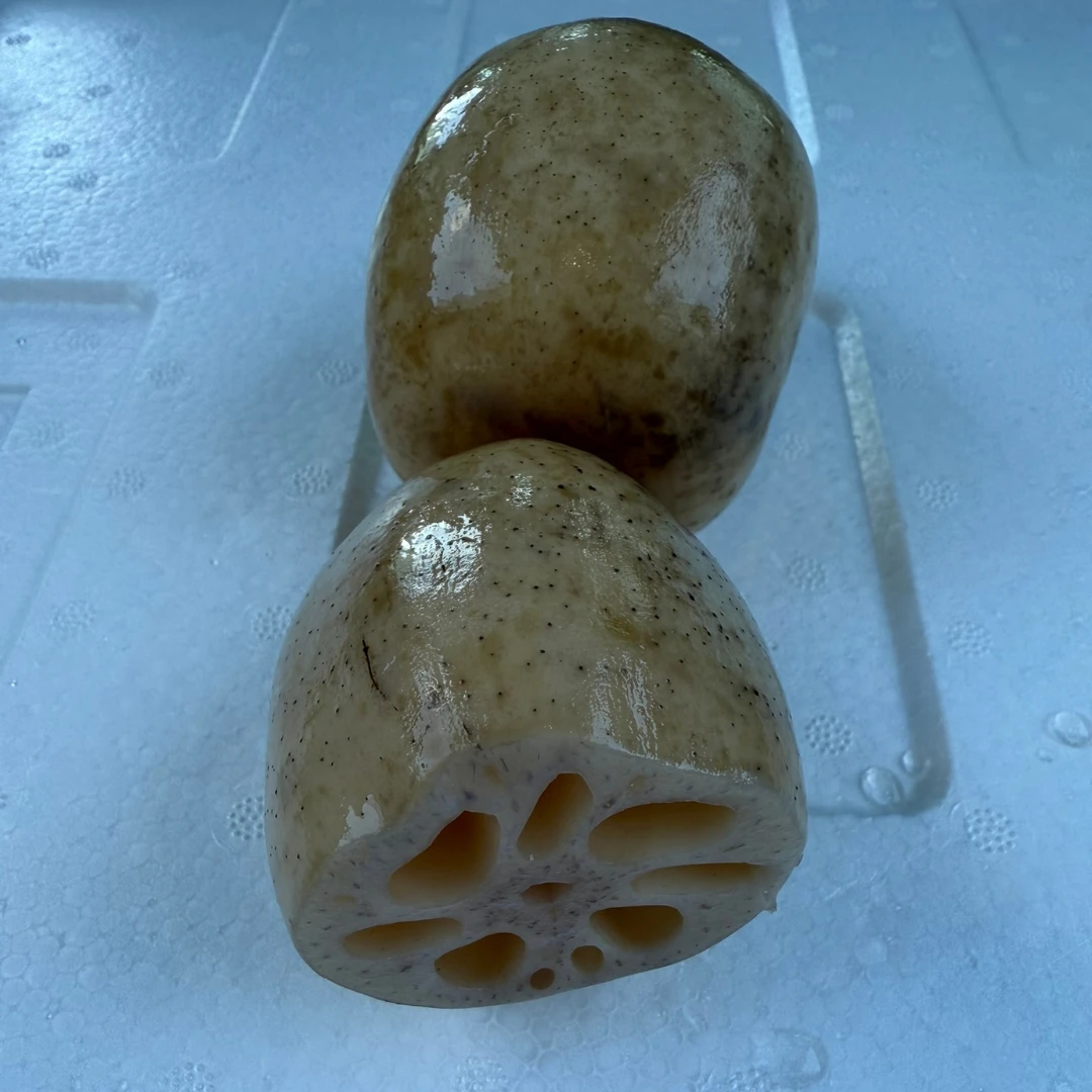 RENKON - JAPANESE LOTUS ROOT - Nelumbo nucifera.png