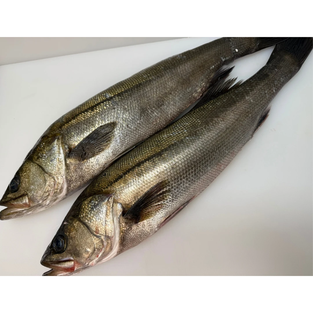 HIRA SUZUKI - FRESH WILD BLACKFIN SEABASS - Lateolabrax latus Katayama (2).png