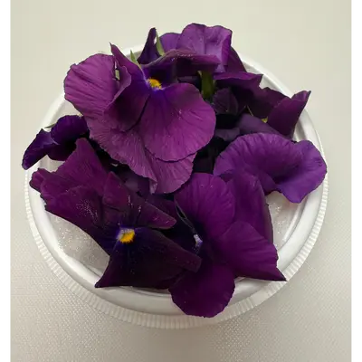 食用花（ビオラの花）Viola PURPLE FLOWER 30g