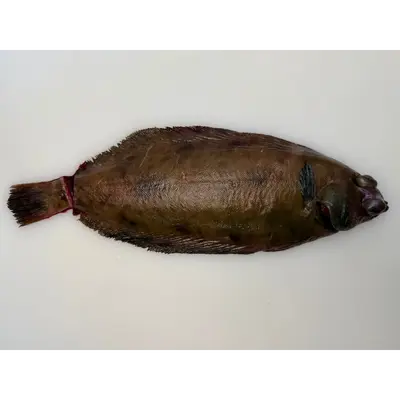 舌平目  Shita Birame WHOLE 1.6 LB