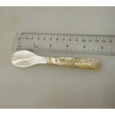 MOTHER OF PEARL SPOON w_ MOSAIC HANDLE (3).png