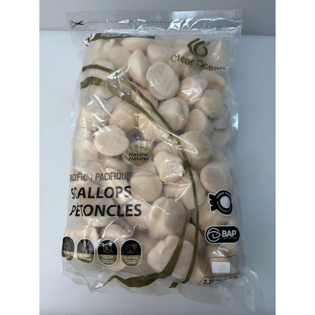 HOTATE - FROZEN WILD SCALLOP MEAT - Patinopecten yessoensis.png