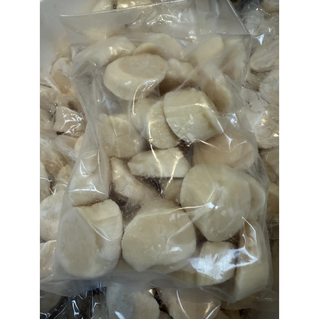 HOTATE - FROZEN WILD SCALLOP MEAT - Patinopecten yessoensis.png