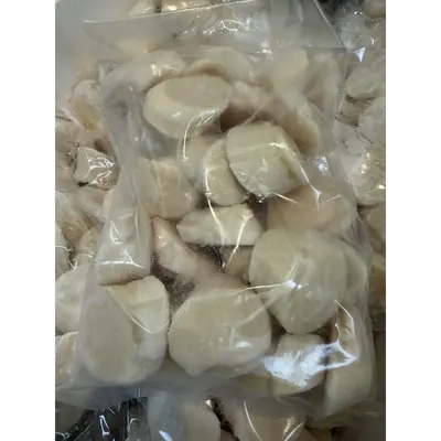 HOTATE - FROZEN WILD SCALLOP MEAT - Patinopecten yessoensis.png