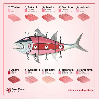 HONMAGURO Japanese Tuna Guide.png