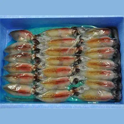冷凍ホタルイカ  HotaruIka FROZEN 200g