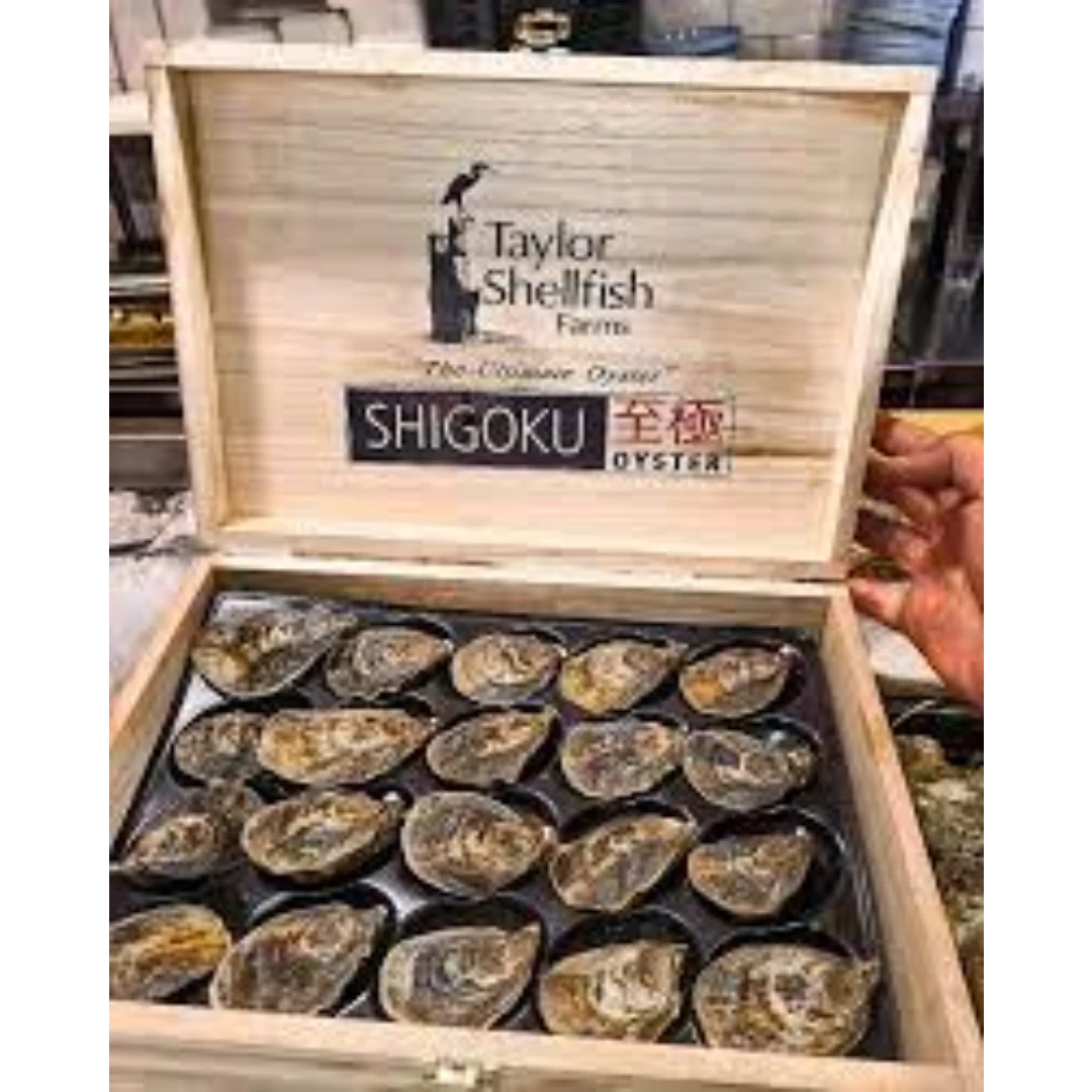 Shigoku Oysters.png