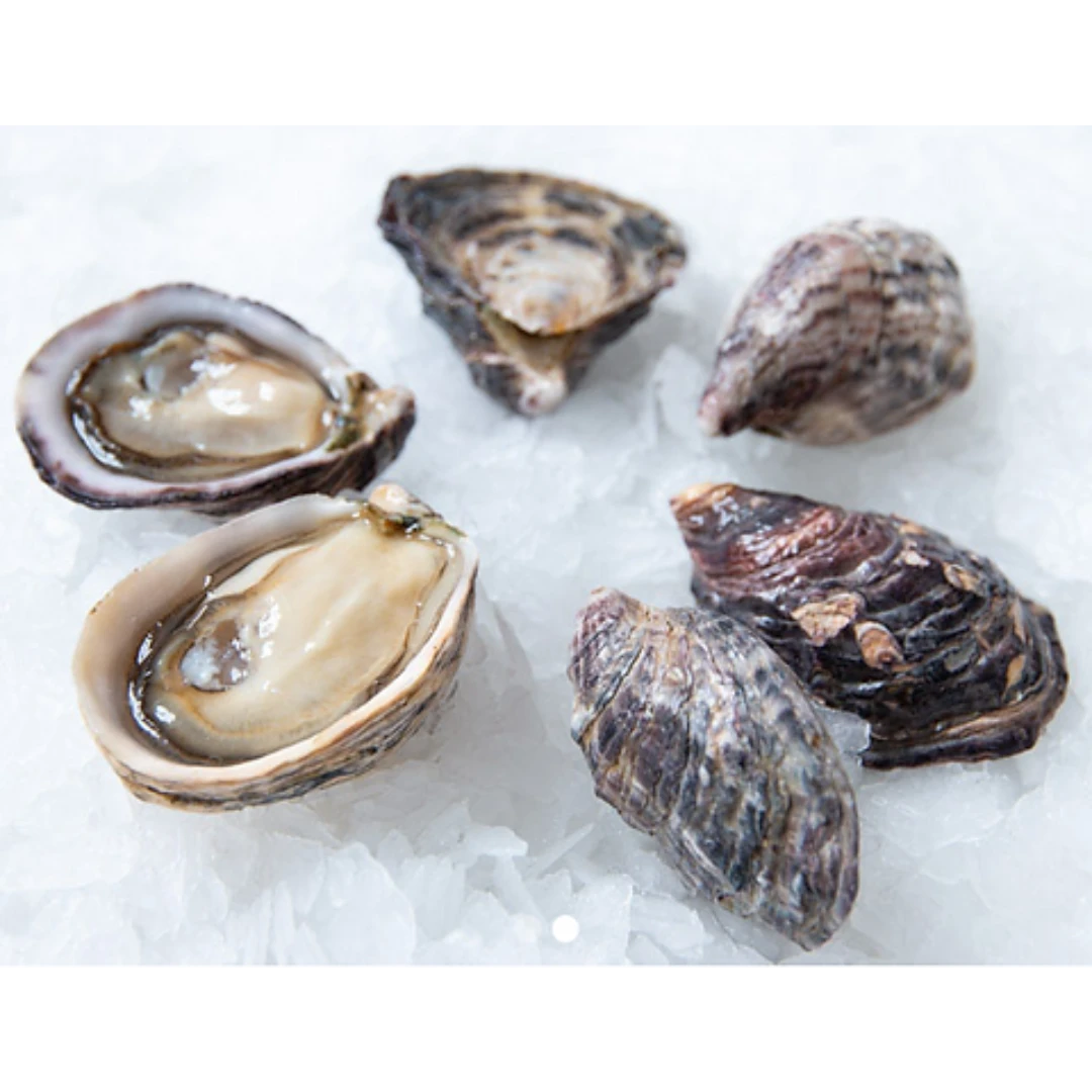 Kusshi Oysters.png