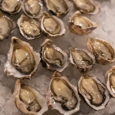 Effingham Oysters XS 5dz
