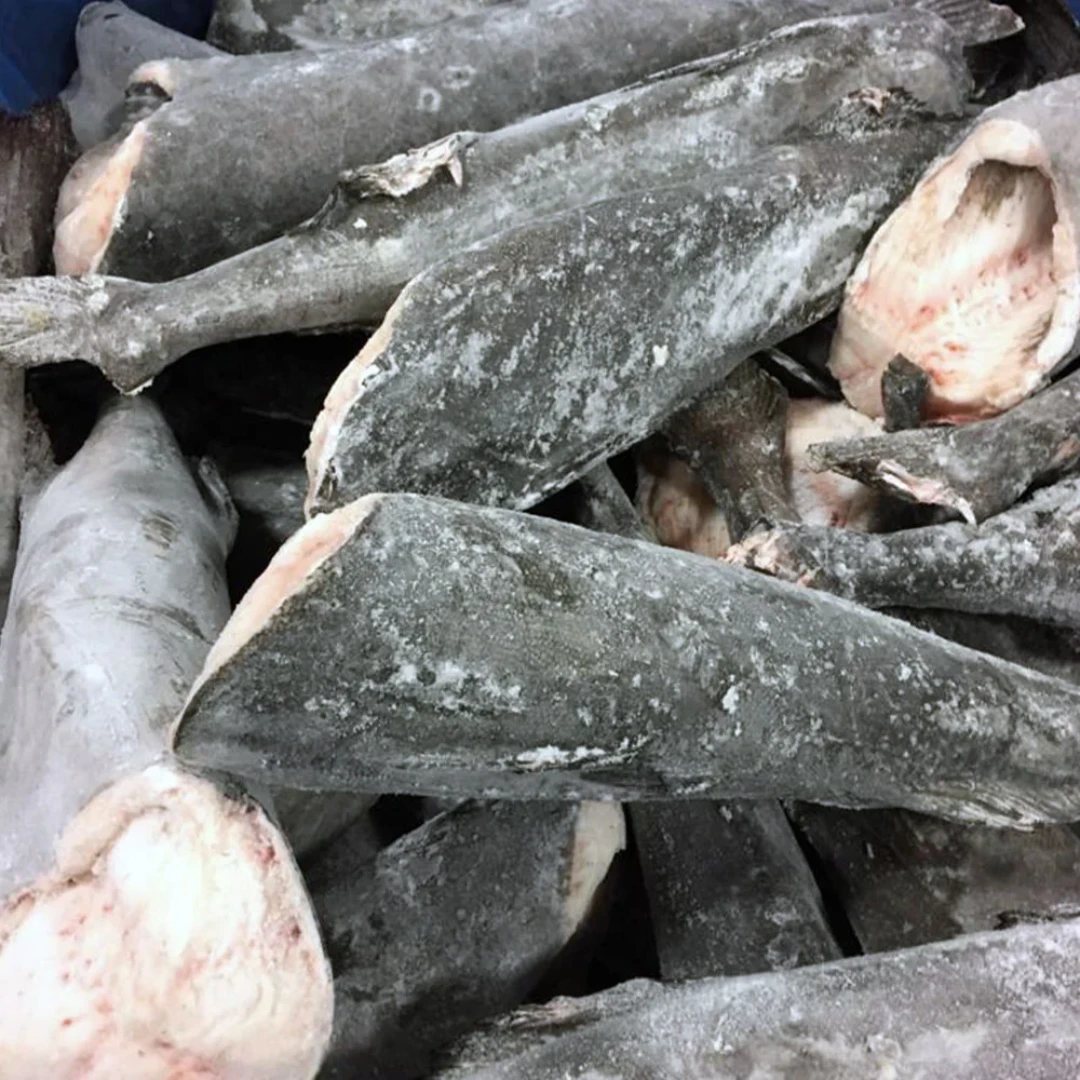 GINDARA - FRESH WILD SABLEFISH HEAD OFF - Anoplopoma fimbria (3).png