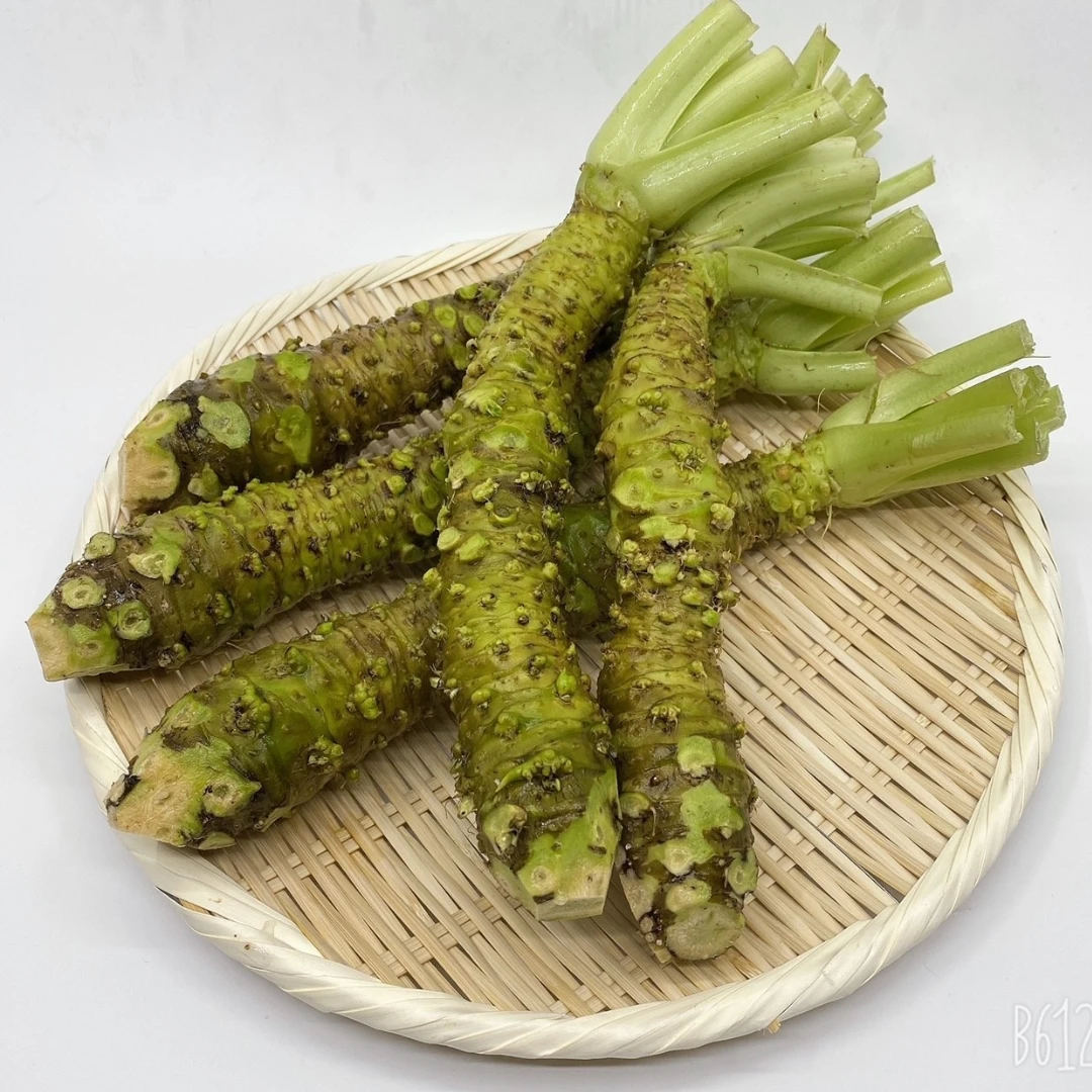 WASABI MAZUMA - Eutrema japonicum 3.png