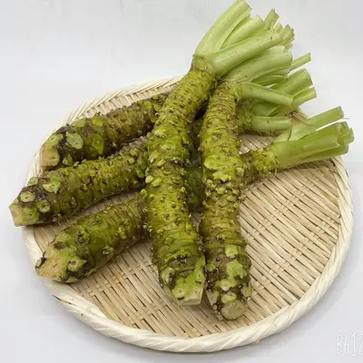 WASABI MAZUMA - Eutrema japonicum 3.png