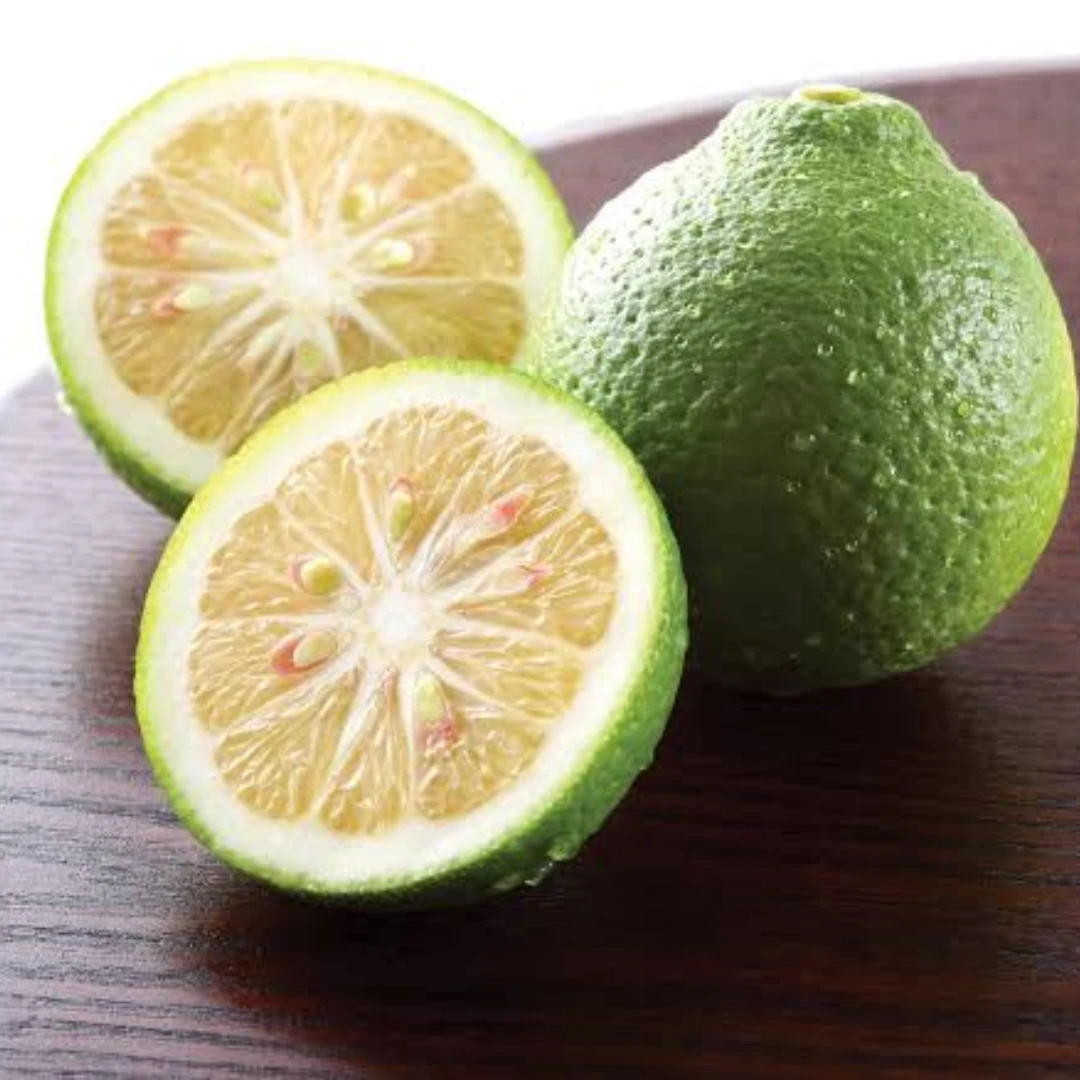 KABOSU - Citrus sphaerocarpa.png