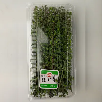 穂紫蘇  Hojiso Bud Stalk